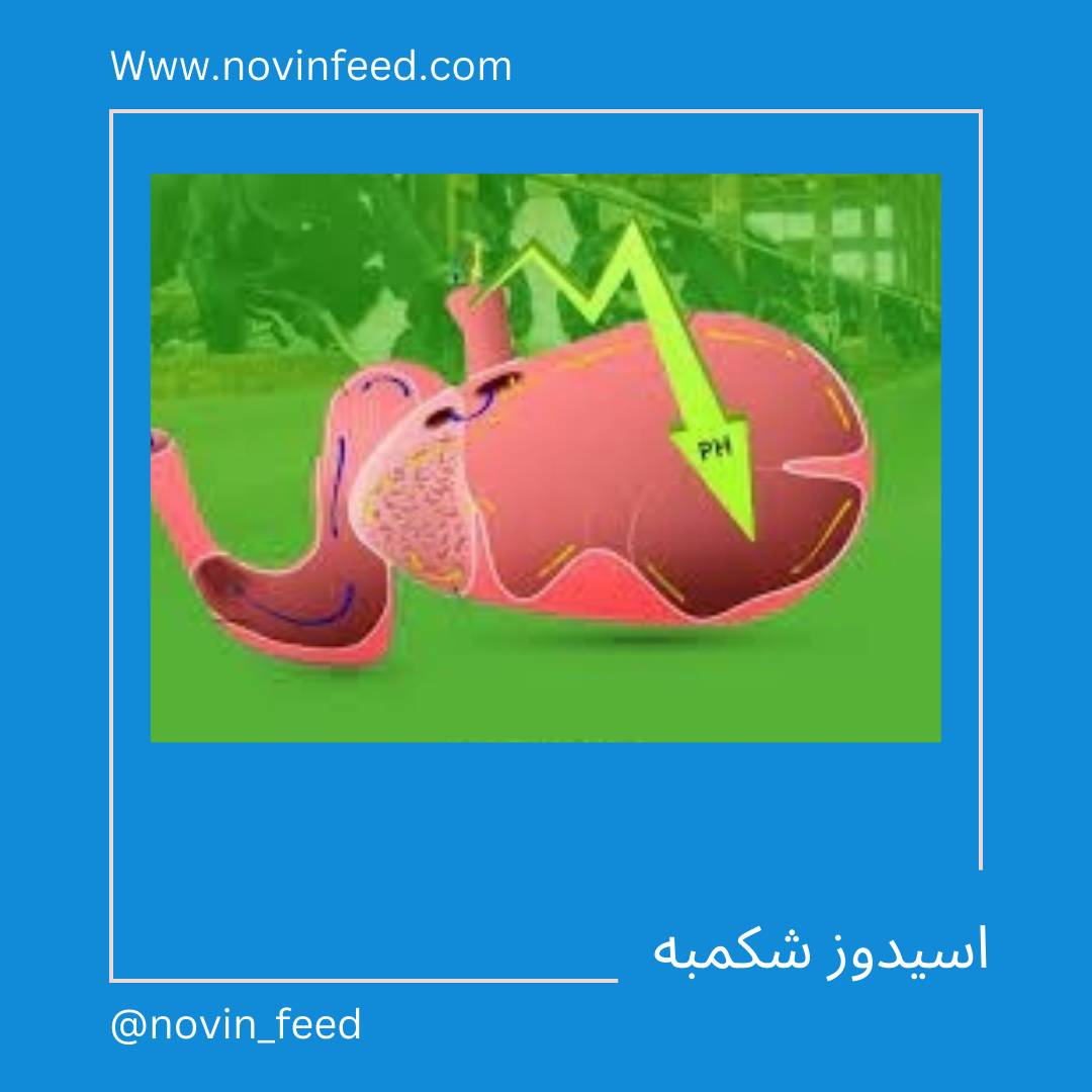اسیدوز شکمبه