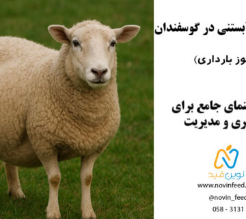 مسمومیت آبستنی در گوسفندان