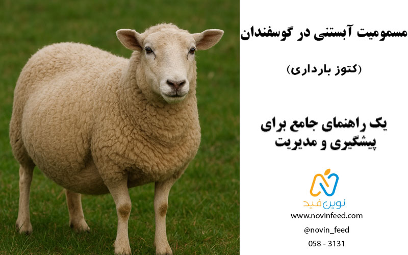 مسمومیت آبستنی در گوسفندان