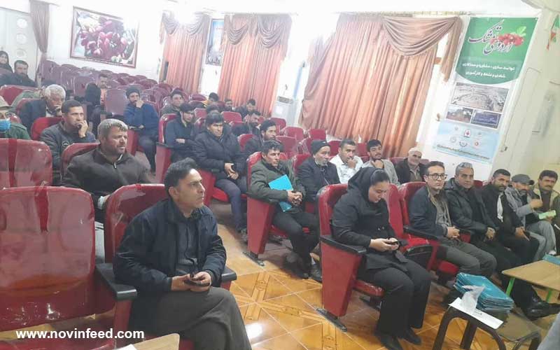 برگزاری کارگاه آموزشی اصول تغذیه دام سبک در خراسان شمالی