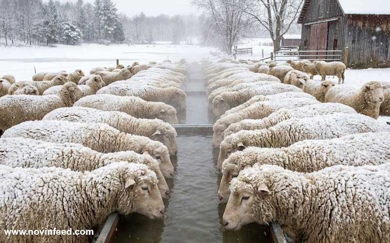 اهمیت تأمین آب مناسب در فصل سرما