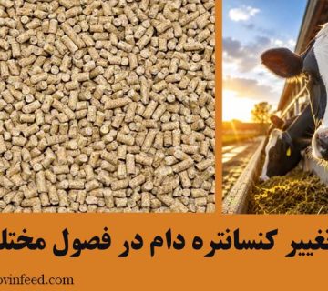 تغییر کنسانتره دام در فصول مختلف