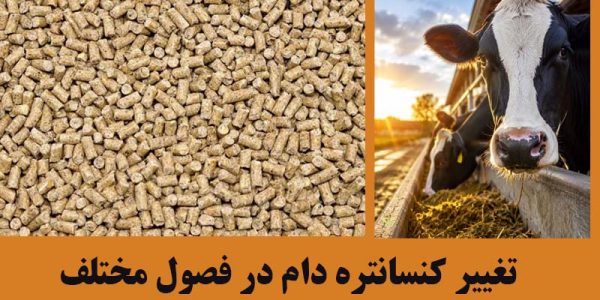 تغییر کنسانتره دام در فصول مختلف تغییر کنسانتره دام در فصول مختلف