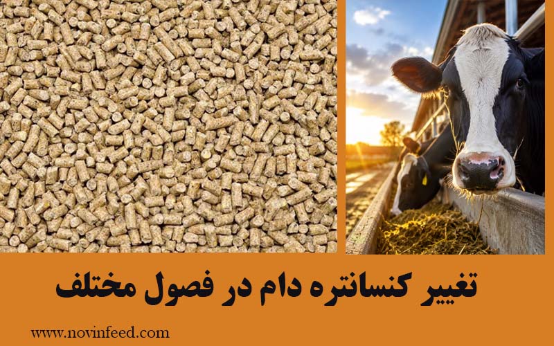 تغییر کنسانتره دام در فصول مختلف