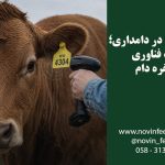 مزایای اقتصادی تغذیه دقیق دام