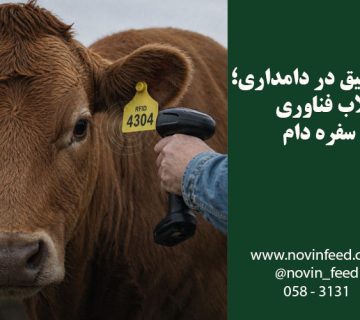 مزایای اقتصادی تغذیه دقیق دام