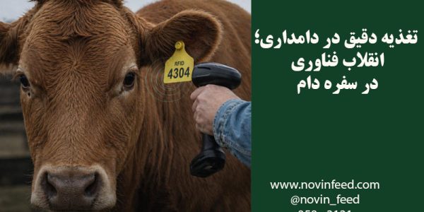 مزایای اقتصادی تغذیه دقیق دام