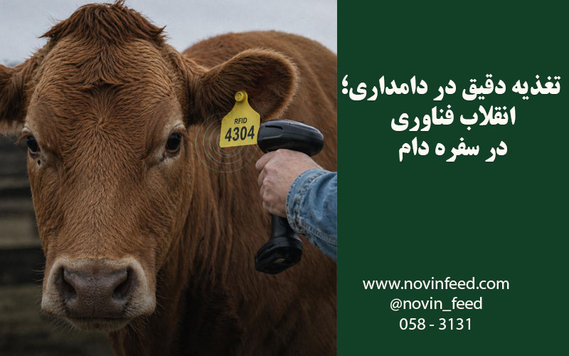 مزایای اقتصادی تغذیه دقیق دام